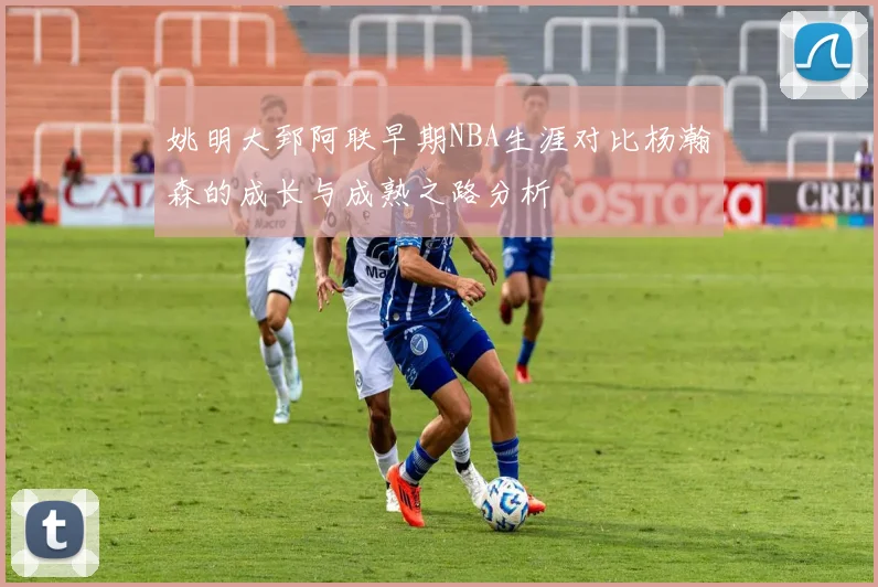 姚明大郅阿联早期NBA生涯对比杨瀚森的成长与成熟之路分析